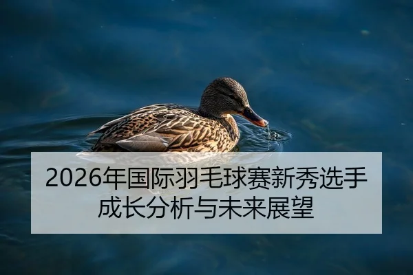 2026年国际羽毛球赛新秀选手成长分析与未来展望