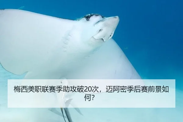 梅西美职联赛季助攻破20次，迈阿密季后赛前景如何？