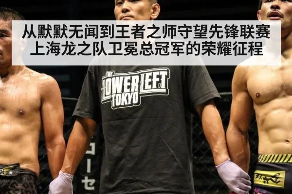 从默默无闻到王者之师守望先锋联赛上海龙之队卫冕总冠军的荣耀征程
